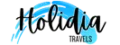 Holidia Travels Logo PNG