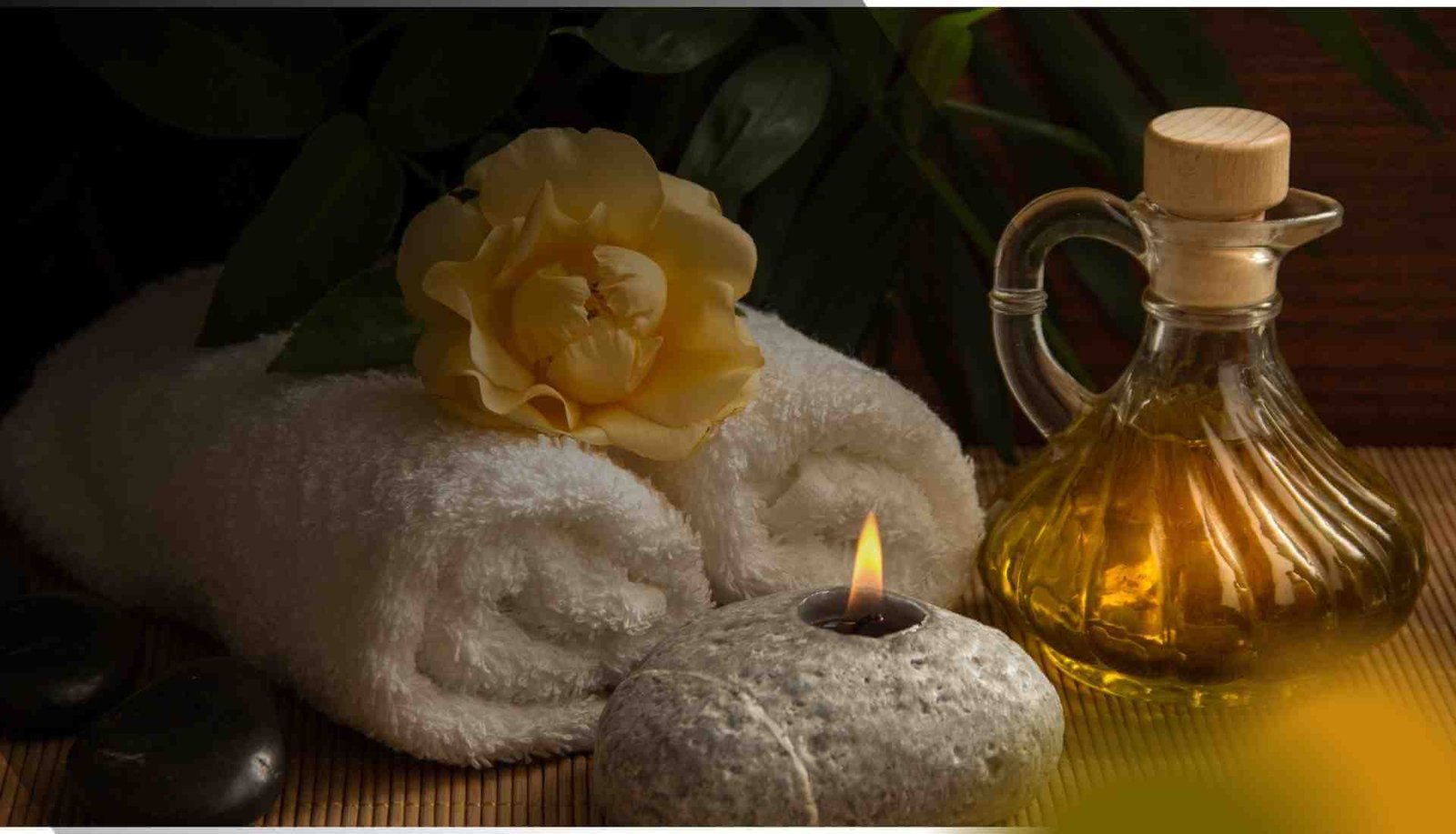 Holida Travels Ayurveda and Wellness in sri lanka