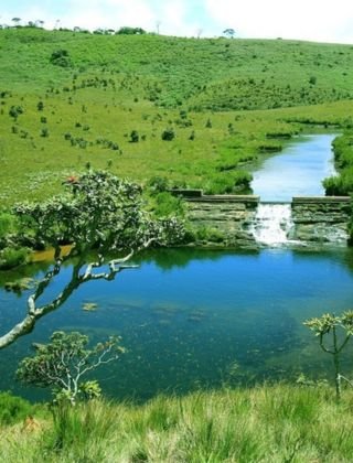 Hortoin Plains tour Sri Lanka