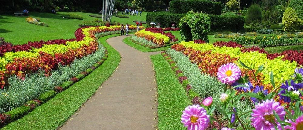 Peradeniya Botanical Garden tour Sri Lanka