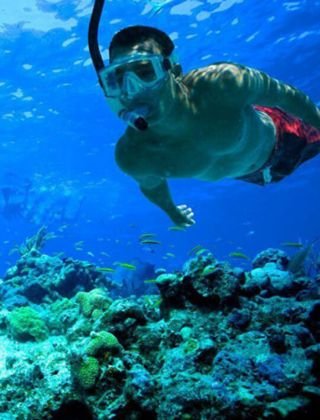 Snorkeling in sri lanka