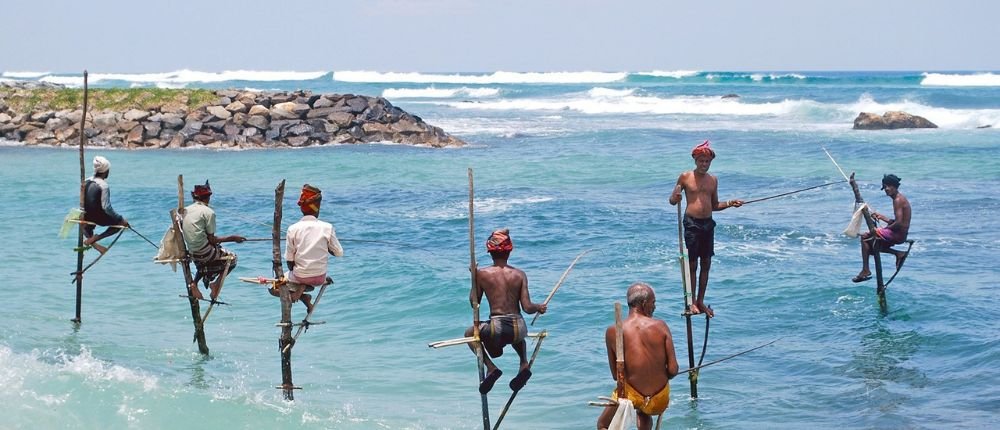 Stilt fishing sri lanka