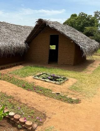 Village Tour in Sri Lanka